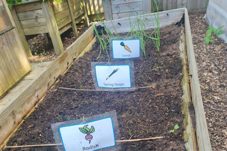 A garden showing a raised-bed planter containing plants and signs for radish, spring onion, and carrot.