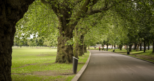 shaded tree-lined path and runners in the distance at victoria park