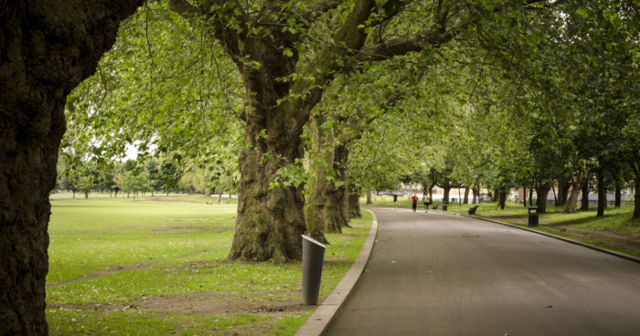 shaded tree-lined path and runners in the distance at victoria park
