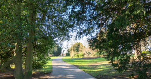 a path through leafy trees in roundhay park