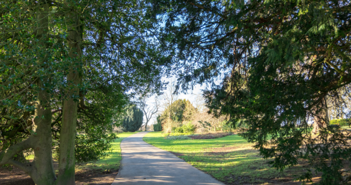 a path through leafy trees in roundhay park