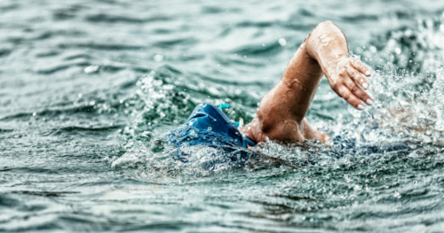 person swims in a triathlon race