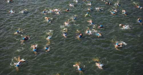 swimmers race in a triathlon
