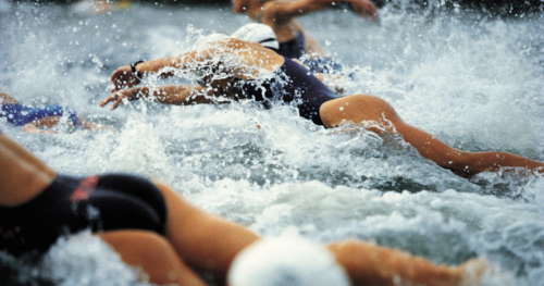 swimmers racing in a triathlon